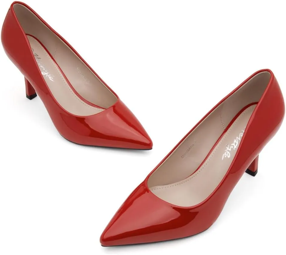 Herstyle Women's 3 Inch Stiletto Pumps ?C Comfortable Classic Pointed Closed Toe High Heels for Women, Fashionable Dressy Elegant Work Office Wedding Shoes